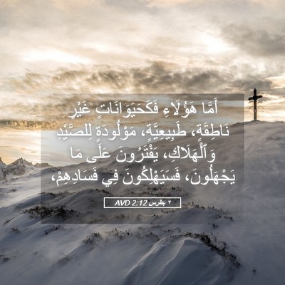 Picture 05 - ٢ بطرس 2:12 AVD - أَمَّا هَؤُلَاءِ - Bible Verse Picture