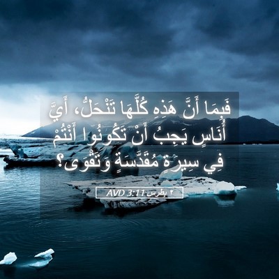 Picture 05 - ٢ بطرس 3:11 AVD - فَبِمَا أَنَّ هَذِهِ - Bible Verse Picture