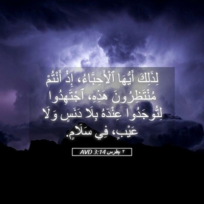 Picture 05 - ٢ بطرس 3:14 AVD - لِذَلِكَ أَيُّهَا - Bible Verse Picture