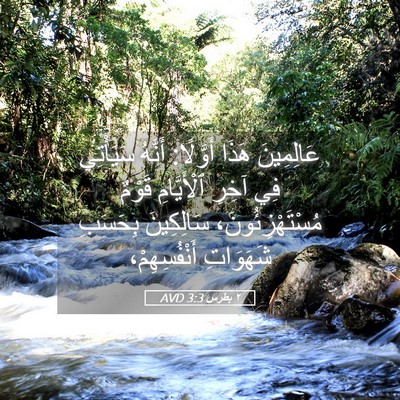 Picture 05 - ٢ بطرس 3:3 AVD - عَالِمِينَ هَذَا أَوَّلًا: - Bible Verse Picture