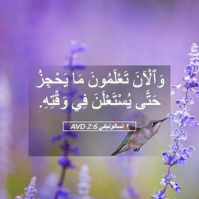 Picture 05 - ٢ تسالونيكي 2:6 AVD - وَٱلْآنَ تَعْلَمُونَ مَا - Bible Verse Picture