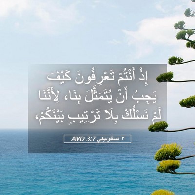 Picture 05 - ٢ تسالونيكي 3:7 AVD - إِذْ أَنْتُمْ تَعْرِفُونَ - Bible Verse Picture