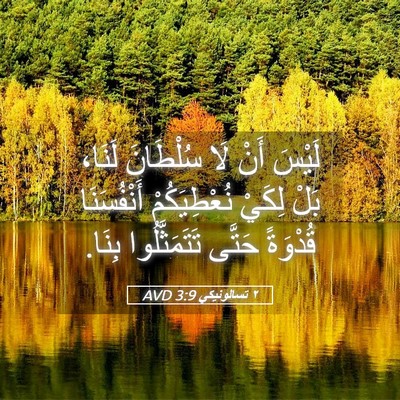 Picture 05 - ٢ تسالونيكي 3:9 AVD - لَيْسَ أَنْ لَا سُلْطَانَ - Bible Verse Picture