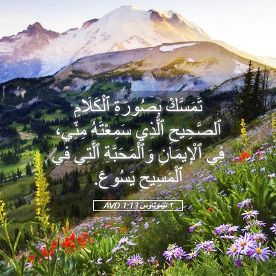 Picture 05 - ٢ تيموثاوس 1:13 AVD - تَمَسَّكْ بِصُورَةِ - Bible Verse Picture