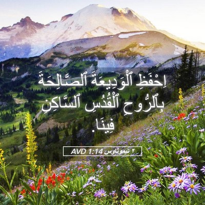 Picture 05 - ٢ تيموثاوس 1:14 AVD - اِحْفَظِ ٱلْوَدِيعَةَ - Bible Verse Picture