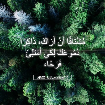 Picture 05 - ٢ تيموثاوس 1:4 AVD - مُشْتَاقًا أَنْ أَرَاكَ، - Bible Verse Picture