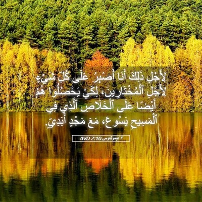 Picture 05 - ٢ تيموثاوس 2:10 AVD - لِأَجْلِ ذَلِكَ أَنَا - Bible Verse Picture