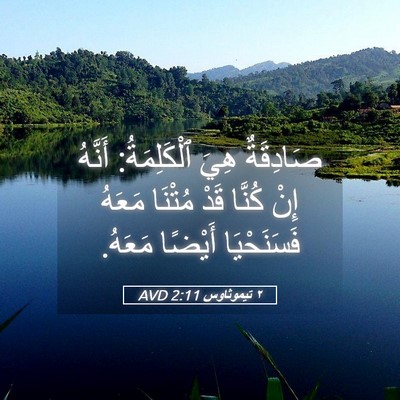 Picture 05 - ٢ تيموثاوس 2:11 AVD - صَادِقَةٌ هِيَ - Bible Verse Picture