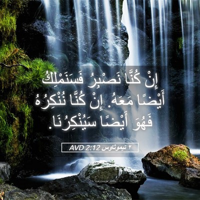Picture 05 - ٢ تيموثاوس 2:12 AVD - إِنْ كُنَّا نَصْبِرُ - Bible Verse Picture