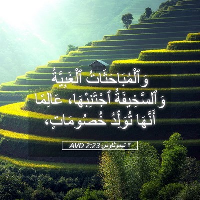 Picture 05 - ٢ تيموثاوس 2:23 AVD - وَٱلْمُبَاحَثَاتُ - Bible Verse Picture