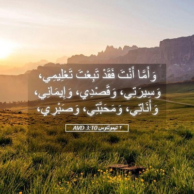 Picture 05 - ٢ تيموثاوس 3:10 AVD - وَأَمَّا أَنْتَ فَقَدْ - Bible Verse Picture