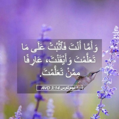 Picture 05 - ٢ تيموثاوس 3:14 AVD - وَأَمَّا أَنْتَ فَٱثْبُتْ - Bible Verse Picture