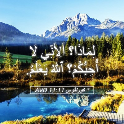 Picture 05 - ٢ كورنثوس 11:11 AVD - لِمَاذَا؟ أَلِأَنِّي لَا - Bible Verse Picture