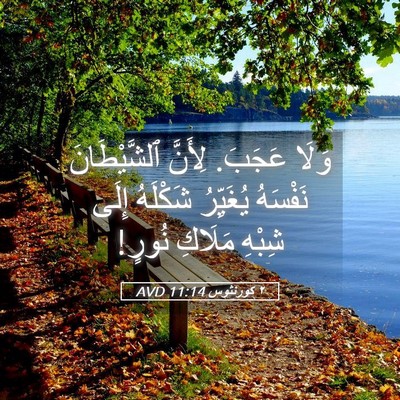 Picture 05 - ٢ كورنثوس 11:14 AVD - وَلَا عَجَبَ. لِأَنَّ - Bible Verse Picture