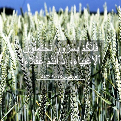 Picture 05 - ٢ كورنثوس 11:19 AVD - فَإِنَّكُمْ بِسُرُورٍ - Bible Verse Picture