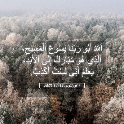 Picture 05 - ٢ كورنثوس 11:31 AVD - ٱللهُ أَبُو رَبِّنَا - Bible Verse Picture