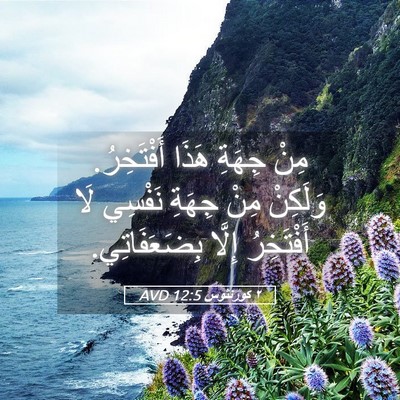 Picture 05 - ٢ كورنثوس 12:5 AVD - مِنْ جِهَةِ هَذَا - Bible Verse Picture