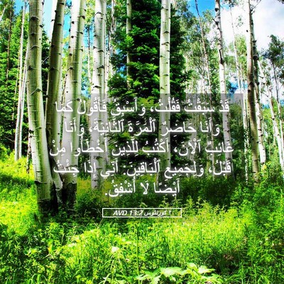 Picture 05 - ٢ كورنثوس 13:2 AVD - قَدْ سَبَقْتُ فَقُلْتُ، - Bible Verse Picture