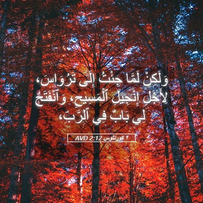 Picture 05 - ٢ كورنثوس 2:12 AVD - وَلَكِنْ لَمَّا جِئْتُ - Bible Verse Picture
