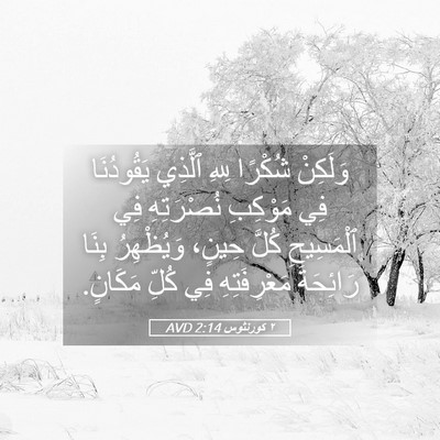 Picture 05 - ٢ كورنثوس 2:14 AVD - وَلَكِنْ شُكْرًا لِلهِ - Bible Verse Picture
