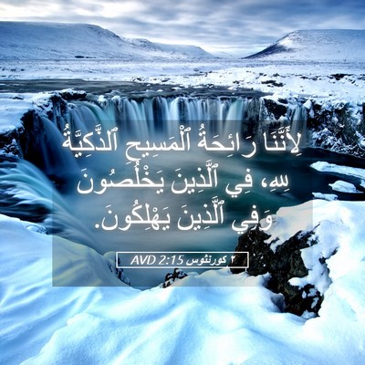 Picture 05 - ٢ كورنثوس 2:15 AVD - لِأَنَّنَا رَائِحَةُ - Bible Verse Picture