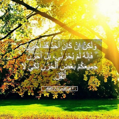 Picture 05 - ٢ كورنثوس 2:5 AVD - وَلَكِنْ إِنْ كَانَ أَحَدٌ - Bible Verse Picture