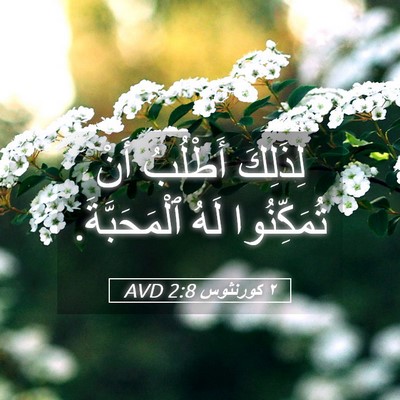 Picture 05 - ٢ كورنثوس 2:8 AVD - لِذَلِكَ أَطْلُبُ أَنْ - Bible Verse Picture