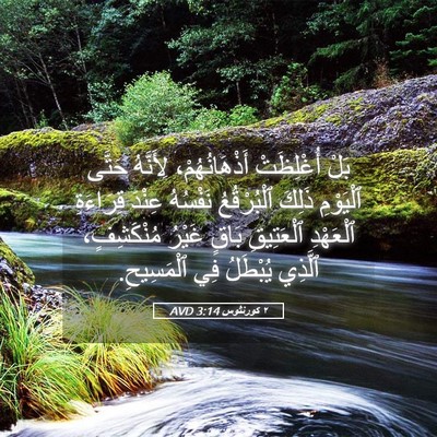 Picture 05 - ٢ كورنثوس 3:14 AVD - بَلْ أُغْلِظَتْ - Bible Verse Picture