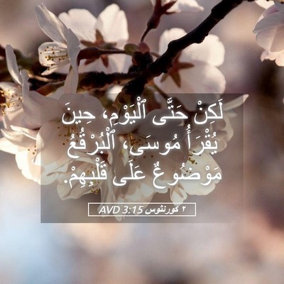 Picture 05 - ٢ كورنثوس 3:15 AVD - لَكِنْ حَتَّى ٱلْيَوْمِ، - Bible Verse Picture