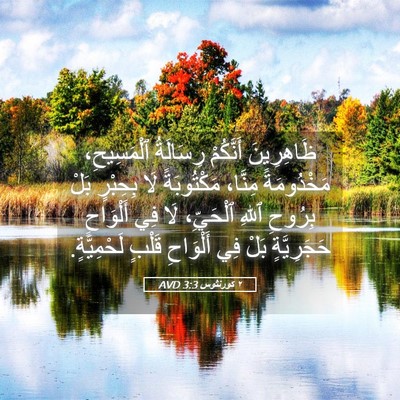 Picture 05 - ٢ كورنثوس 3:3 AVD - ظَاهِرِينَ أَنَّكُمْ - Bible Verse Picture