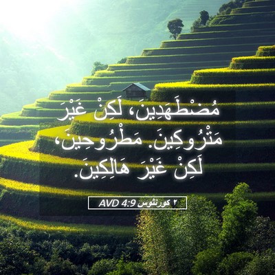 Picture 05 - ٢ كورنثوس 4:9 AVD - مُضْطَهَدِينَ، لَكِنْ - Bible Verse Picture