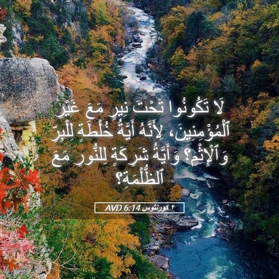 Picture 05 - ٢ كورنثوس 6:14 AVD - لَا تَكُونُوا تَحْتَ نِيرٍ - Bible Verse Picture