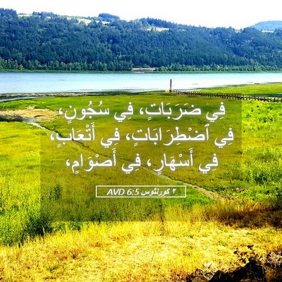 Picture 05 - ٢ كورنثوس 6:5 AVD - فِي ضَرَبَاتٍ، فِي - Bible Verse Picture