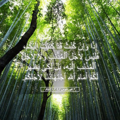 Picture 05 - ٢ كورنثوس 7:12 AVD - إِذًا وَإِنْ كُنْتُ قَدْ - Bible Verse Picture