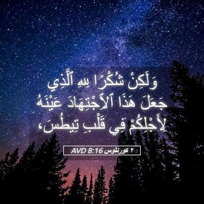 Picture 05 - ٢ كورنثوس 8:16 AVD - وَلَكِنْ شُكْرًا لِلهِ - Bible Verse Picture