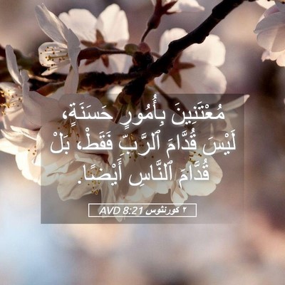Picture 05 - ٢ كورنثوس 8:21 AVD - مُعْتَنِينَ بِأُمُورٍ - Bible Verse Picture
