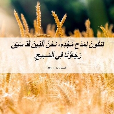 Picture 06 - أفَسُس 1:12 AVD - لِنَكُونَ لِمَدْحِ - Bible Verse Picture