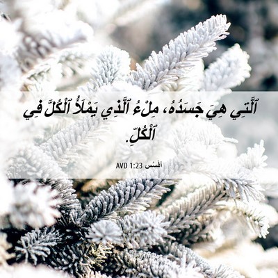 Picture 06 - أفَسُس 1:23 AVD - ٱلَّتِي هِيَ جَسَدُهُ، - Bible Verse Picture