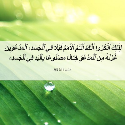 Picture 06 - أفَسُس 2:11 AVD - لِذَلِكَ ٱذْكُرُوا - Bible Verse Picture