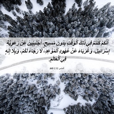 Picture 06 - أفَسُس 2:12 AVD - أَنَّكُمْ كُنْتُمْ فِي - Bible Verse Picture