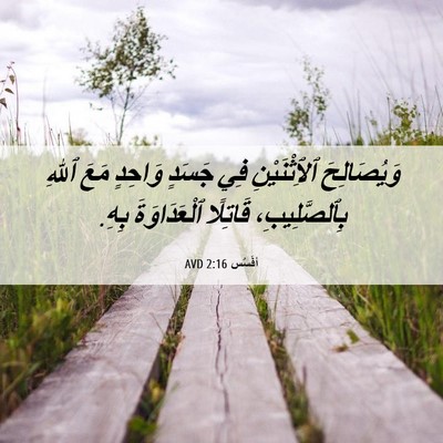 Picture 06 - أفَسُس 2:16 AVD - وَيُصَالِحَ ٱلِٱثْنَيْنِ - Bible Verse Picture