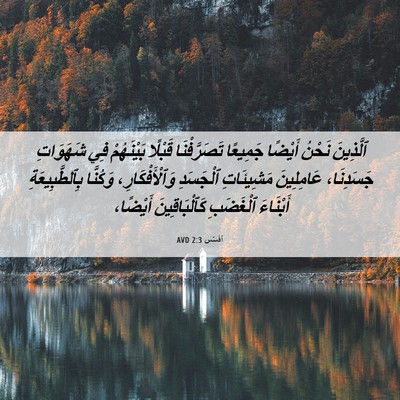 Picture 06 - أفَسُس 2:3 AVD - ٱلَّذِينَ نَحْنُ أَيْضًا - Bible Verse Picture