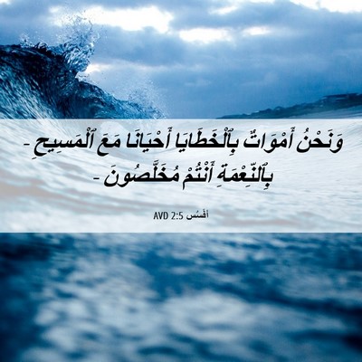 Picture 06 - أفَسُس 2:5 AVD - وَنَحْنُ أَمْوَاتٌ - Bible Verse Picture