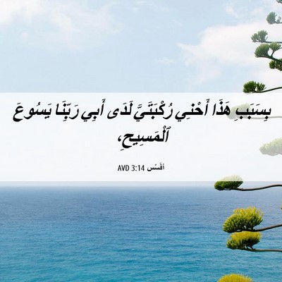 Picture 06 - أفَسُس 3:14 AVD - بِسَبَبِ هَذَا أَحْنِي - Bible Verse Picture