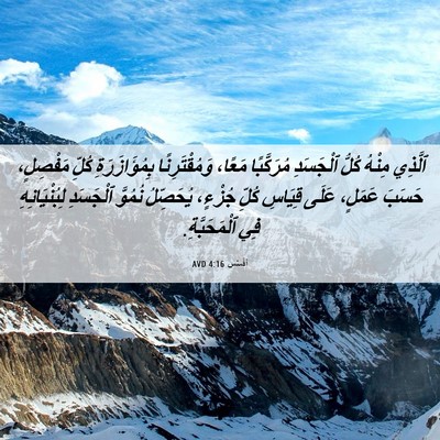 Picture 06 - أفَسُس 4:16 AVD - ٱلَّذِي مِنْهُ كُلُّ - Bible Verse Picture