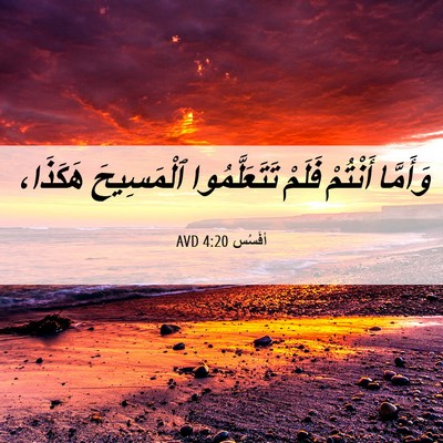 Picture 06 - أفَسُس 4:20 AVD - وَأَمَّا أَنْتُمْ فَلَمْ - Bible Verse Picture
