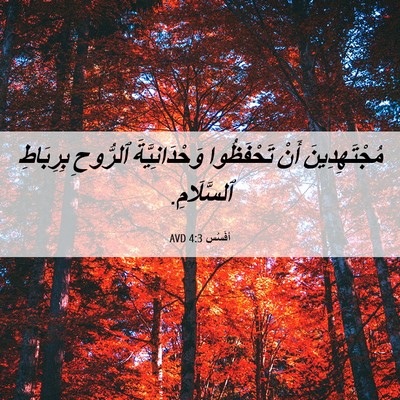 Picture 06 - أفَسُس 4:3 AVD - مُجْتَهِدِينَ أَنْ - Bible Verse Picture