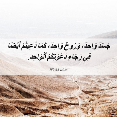 Picture 06 - أفَسُس 4:4 AVD - جَسَدٌ وَاحِدٌ، وَرُوحٌ - Bible Verse Picture