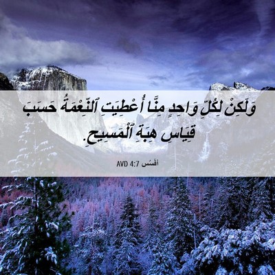 Picture 06 - أفَسُس 4:7 AVD - وَلَكِنْ لِكُلِّ وَاحِدٍ - Bible Verse Picture