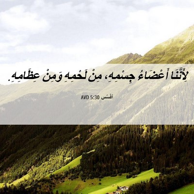 Picture 06 - أفَسُس 5:30 AVD - لِأَنَّنَا أَعْضَاءُ - Bible Verse Picture